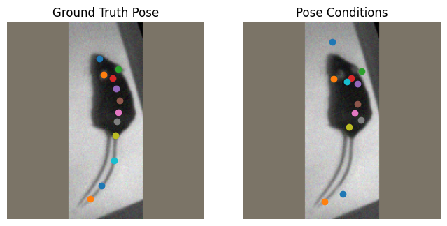 DeepLabCut - Tutorial for BUCTD models — DeepLabCut